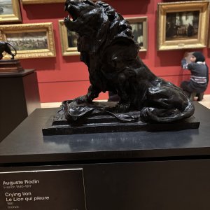 IMG_1452.jpeg