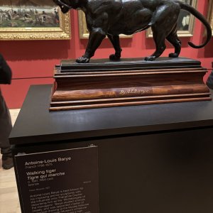 IMG_1453.jpeg
